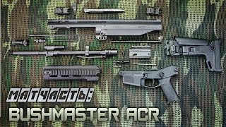 Матчасть Bushmaster ACR разборка чистка конструкция [upl. by Woodberry]