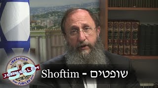 Weekly Torah Portion Shoftim [upl. by Radborne]