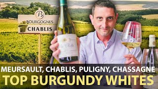 How are Meursault Chablis Puligny amp Chassagne Montrachet Different Top White Wines From Burgundy [upl. by Linkoski]