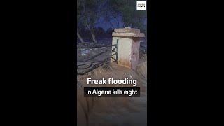 Freak flooding in Algeria kills at least eight people [upl. by Nnauol30]