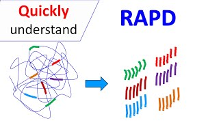 RAPD  Random Amplification of Polymorphic DNA [upl. by Latsyk989]