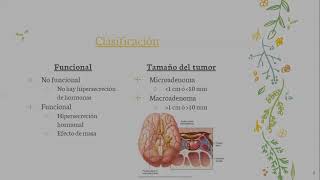 ADENOMAS HIPOFISARIOS [upl. by Nrubloc752]