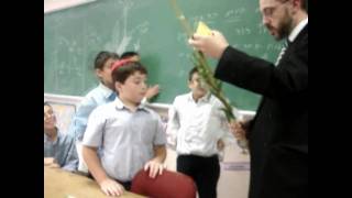 How to Shake a Lulav and Etrog [upl. by Elleyoj]