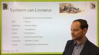 Biologie van Tim  Indeling en naamgeving van soorten onderbouw [upl. by Cash]