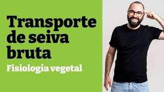 Transporte de seiva bruta SIMPLES  Fisiologia vegetal  Aula 24  Botânica  Prof Gui [upl. by Aneekat]