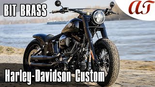 HarleyDavidson SOFTAIL SLIM Custom BIT BRASS  AampT Design [upl. by Hollerman]