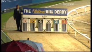 Greyhound Derby Final 2010 [upl. by Purvis804]