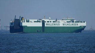 Wallenius Wilhelmsen “FIGARO” in Ise Bay [upl. by Netta]