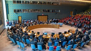 Security Council Upholding the United Nations Charter 8699th meeting [upl. by Nakhsa]