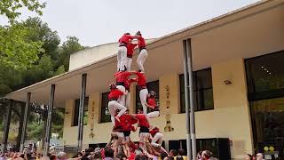 Castellers de Barcelona 3 de 7  Diada del Local de Castelldefels 2024 [upl. by Llyrpa341]