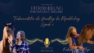 Tierkommunikation als Grundlage der Pferdeheilung  Janika Sedat und Frederike [upl. by Gipps522]