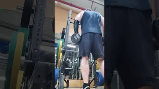 30lb side lat raises for shoulders solid set [upl. by Hefter]