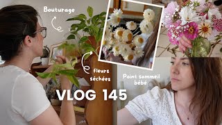 Bouturage pothos fleurs séchées et fleurs coupées amp sommeil de bébé  VLOG 145 [upl. by Enitsirt]