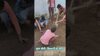 किचन गार्डन कैसे तैयार करें school students गतिविधि shortsfeed shorts [upl. by Hobart]