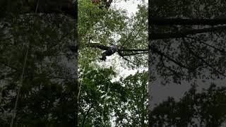 SRT Treeclimbing Competion [upl. by Atileda]