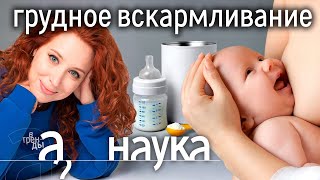 Нам врут про молочные смеси Чем уникально грудное молоко Научные исследования [upl. by Aztiley]