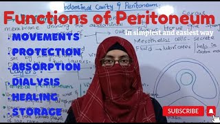 Functions of Peritoneum I Abdominal cavity and Peritoneum ayeshamedicaleducation [upl. by Coates]