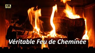 Feu de cheminée 4K [upl. by Brandes]