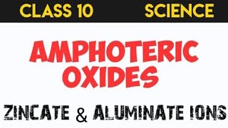 AMPHOTERIC OXIDES CLASS 10  ZINCATE AND ALUMINATE IONS [upl. by Nauqaj]