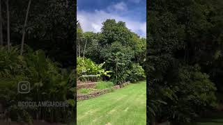 Hawaii Garden transformation [upl. by Eibrad]