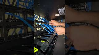 Lessing and Terminating of cat6 UTP unshielded cable on the panduit patch panel [upl. by Arodoeht166]