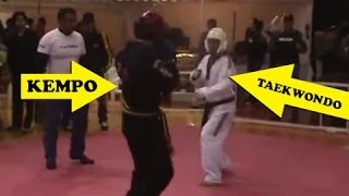 Kenpo vs Taekwondo  REAL FIGHT 2014 KO [upl. by Ahsielat]