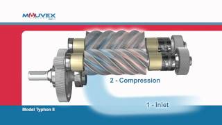 Screw Compressor Principle Mouvex Overview [upl. by Nananne]