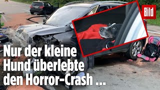 Zwei Tote nach GeisterfahrerCrash auf A24 Kindersitze liegen auf der Straße [upl. by Harias]