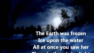 Winter Light  Tim Finn Lyric Video [upl. by Dirrej]