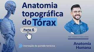 ANATOMIA TOPOGRÁFICA DO TÓRAX  Parte 6  INERVAÇÃO DA PAREDE TORÁCICA [upl. by Soane]