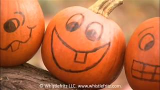 French Counting Song  Cinq Citrouilles Five Pumpkins Whistlefritz [upl. by Abad]