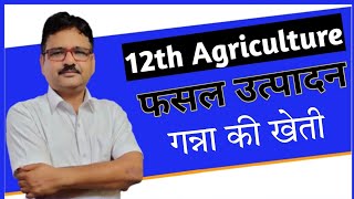 12th Agriculture l Crop Production l Chapter8 l फ़सलों की खेती l गन्ने की खेती l By Beerval dhaakd [upl. by Harelda]