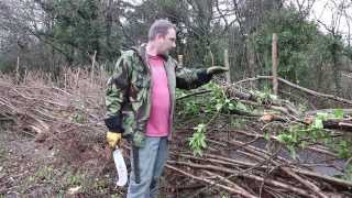 How to Traditional Hedge Laying in the South of England Style [upl. by Coh]