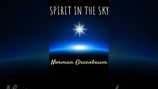 Norman Greenbaum  Spirit In The Sky  Best Songs of all Time [upl. by Layman193]