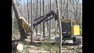 John Deere 753G feller buncher cutting big pine [upl. by Loring]