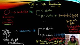 GENETIC DISORDER PART 2 [upl. by Amliw]