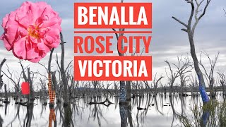 A few days in Benalla region Victoria [upl. by Ela]