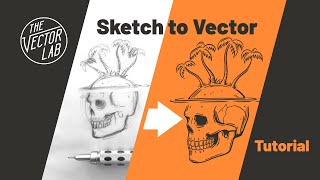 Convert Drawings Into VECTOR Graphics • Illustrator amp Procreate Tutorial [upl. by Augie]