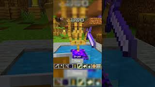 Minecraft Hacks part3 minecraft gaming youtubeshorts hacks hack minecraftshorts [upl. by Mayap]