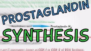 Biochemistry Help Prostaglandin Synthesis explained in 4 Minutes How are Prostaglandins made [upl. by Nataniel]