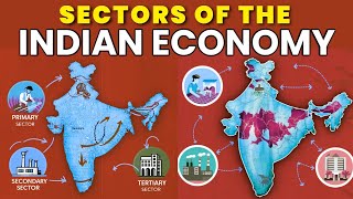 Sectors of the Indian Economy class 10 cbse animated video in Hindi  Class 10 economics chapter 2 [upl. by Jaunita]