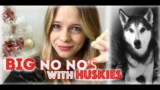 5 Big NO NOS With HUSKIES [upl. by Campball]