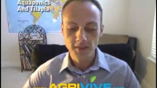 Best Aquaponics System Design Commercial Aquaponics Systems Aquaponics System Plans [upl. by Nongim]