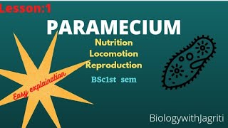 Paramecium locomotion reproductionamp nutrition Bsc 1semBiologywithJagriti with easy explaination [upl. by Llenrag497]