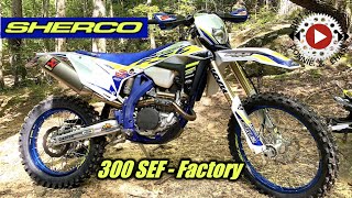 2020 Sherco 300 SEF Factory  First Impression Review  Max Motorsports Demo  Sherco 300 4 Stroke [upl. by Dranreb23]