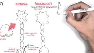 Pharmacology  Parkinsons Disease [upl. by Anivas155]