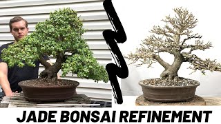 Jade Bonsai Portulacaria Afra  Refinement Work The Bonsai Supply [upl. by Bertine]