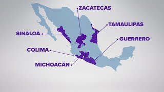 Mexico travel warning US State Department urging Americans to avoid these 6 states [upl. by Rather]