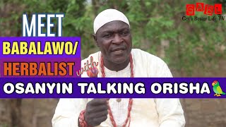 Osanyin Talking OrishaSpirit BabalawoHerbalist from AgbadoEkiti Interviewed on Yoruba Religion [upl. by Seiter]