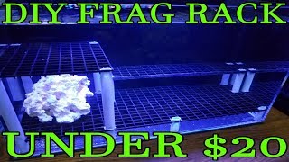 DIY Frag Rack For Under 20 [upl. by Annuaerb]